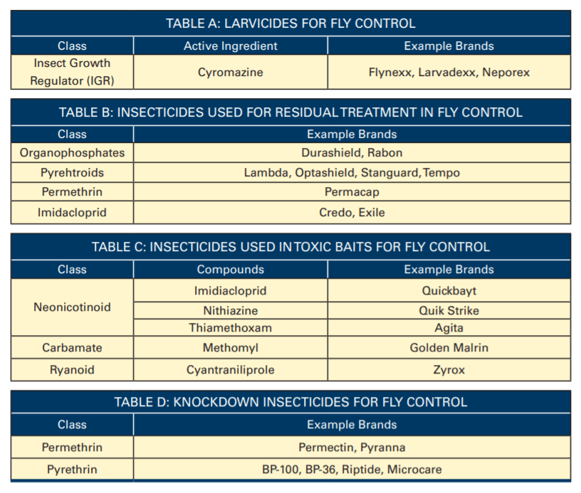 Fly Management Surveillance and control The Poultry Site